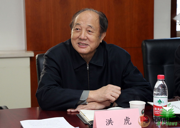 洪虎