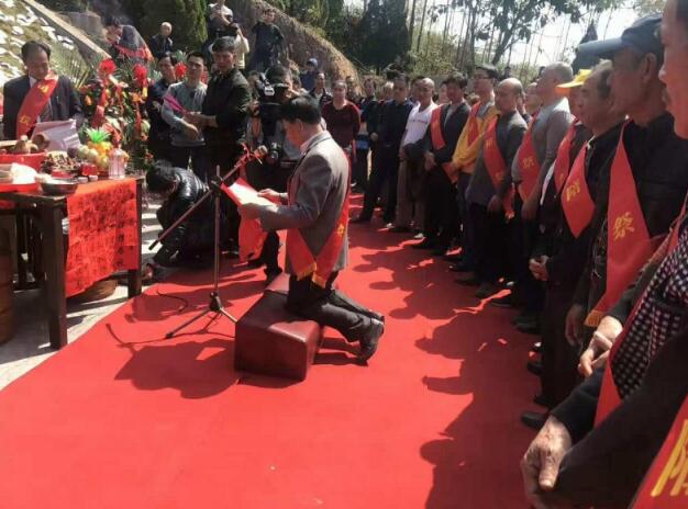 家譜國際丨褚厝褚氏九世祖清明祭掃活動剪影
