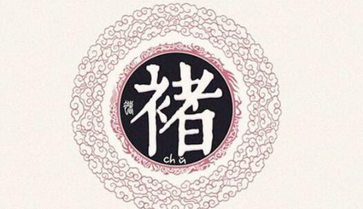 家譜國際丨褚姓尋根