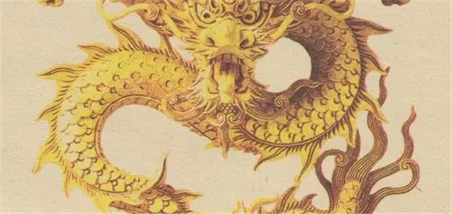 家譜國(guó)際丨用樹狀圖創(chuàng)建家譜，全新家譜模板找哪個(gè)修譜軟件？