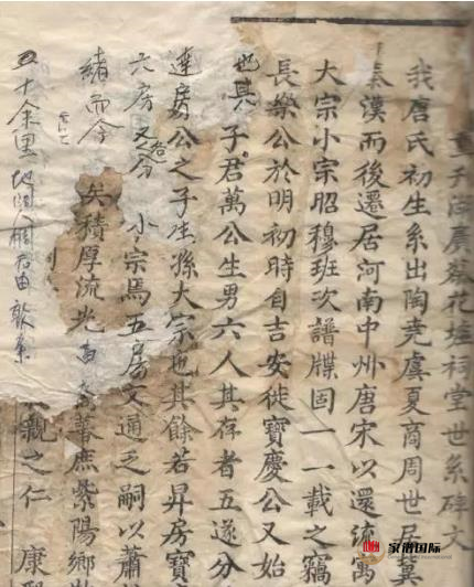 家譜國際|家族歷史無法考證，該如何修譜？
