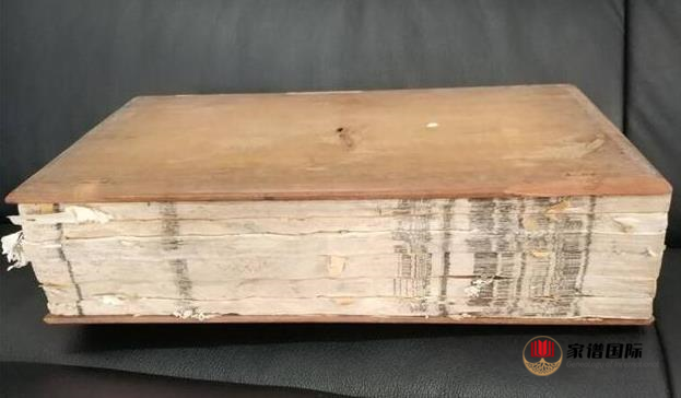 家族檔案