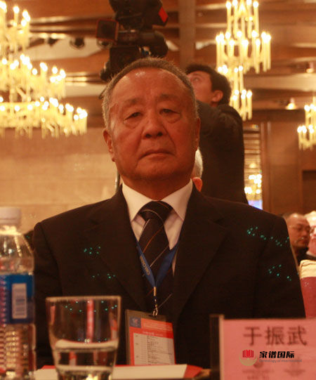 于振武
