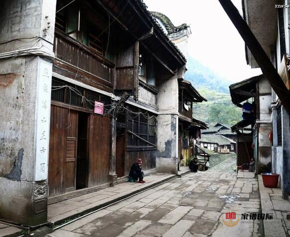 修譜續(xù)譜修家譜國際