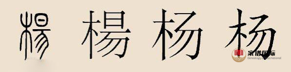 修譜續譜修家譜國際
