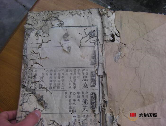 修譜續(xù)譜修家譜國際