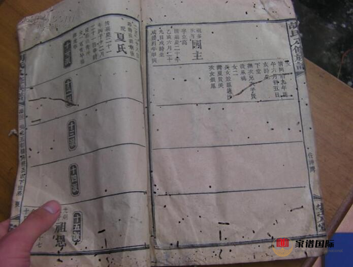 修譜續(xù)譜修家譜國際
