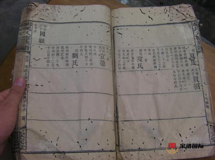 修譜續(xù)譜修家譜國際