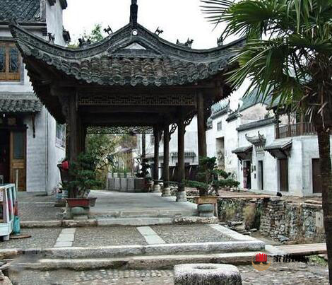 修譜續(xù)譜修家譜國際