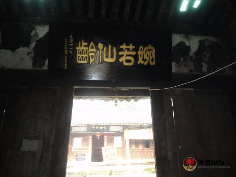 修譜續譜修家譜國際