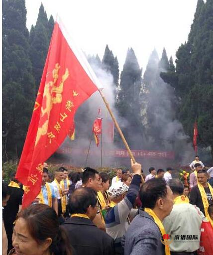修譜續譜修家譜國際