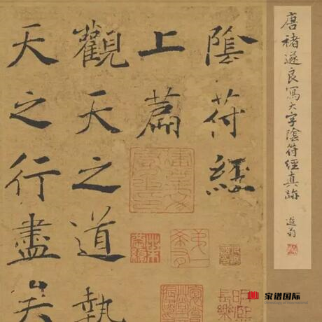 修家譜續譜家譜國際