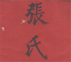 金陵羅塘張氏族譜: 十九卷
